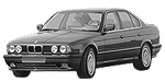 BMW E34 B3436 Fault Code